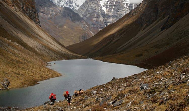 Laya Lingsi Trek